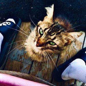 Meet your Posher, Gerick